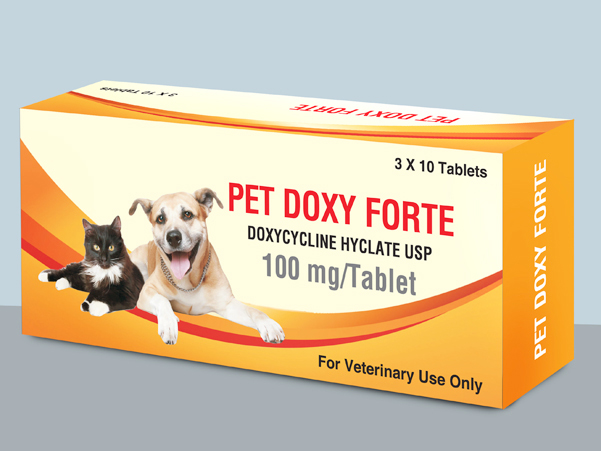 image of pet